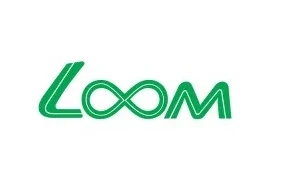 loom_solar_logo