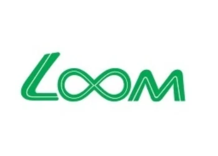 loom_solar_logo